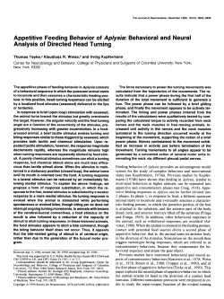Appetitive Feeding Behavior of Aplysia: Behavioral and Neural