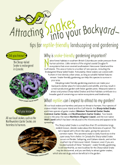 Attracting Snakes into your Backyard