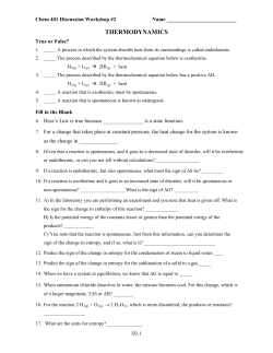 Discussion Workshop #1