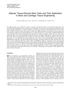 Adipose Tissue-Derived Stem Cells and Their Application in Bone