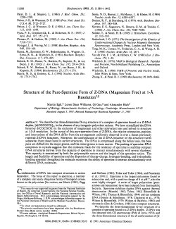 Structure of the Pure-Spermine Form of Z-DNA