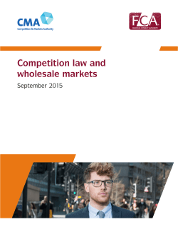 Competition law and wholesale markets