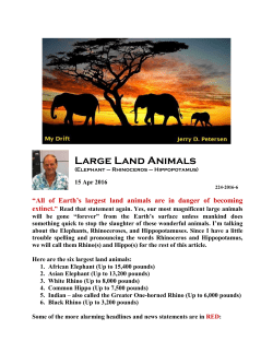 Large Land Animals