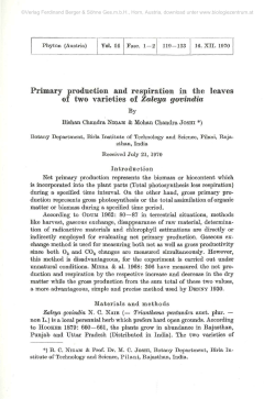 Primary production and respiration in the leaves of two