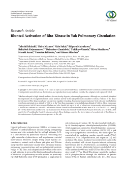 Blunted Activation of Rho-Kinase in Yak Pulmonary Circulation