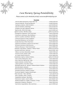 Cure Nursery Spring Availability