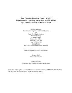 How Does the Cerebral Cortex Work?