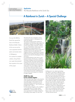 A Rainforest in Zurich – A Special Challenge