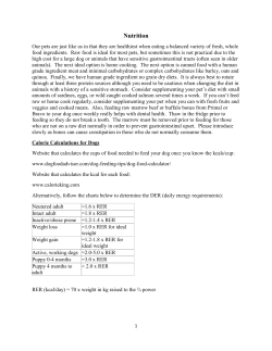 Nutrition - Del Ray Animal Hospital