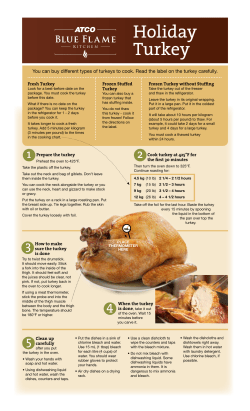 Holiday Turkey - ATCO Blue Flame Kitchen