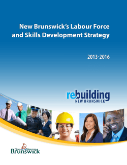 Labour Force and Skills Development Strategy