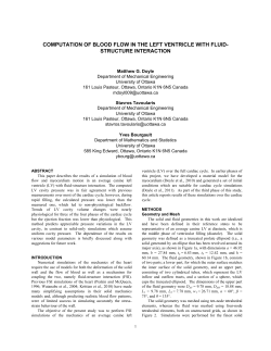 computation of blood flow in the left ventricle with