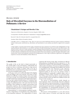 Role of Microbial Enzymes in the Bioremediation of Pollutants: A