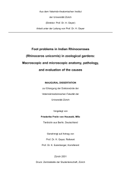 Here - Rhino Resource Center