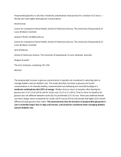 Postprandial glycemia in cats fed a moderate