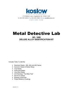 Metal Detective Lab