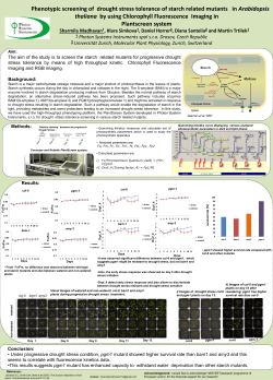 Phenotypic screening of drought stress tolerance of starch related