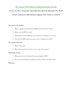 Frequently Asked Questions about the Mountain Pine Beetle