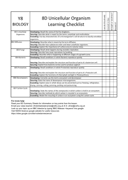 Y8 8D Unicellular Organism Learning Checklist