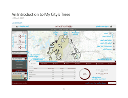 An Introduction to My City`s Trees