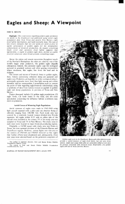 Eagles and Sheep: A Viewpoint - Journals at the University of Arizona