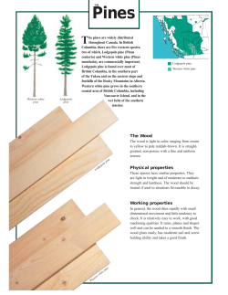 The Wood Physical properties Working properties
