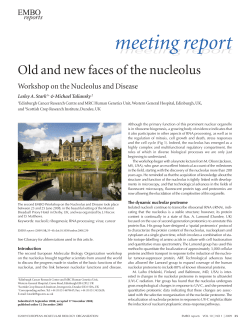 Old and new faces of the nucleolus