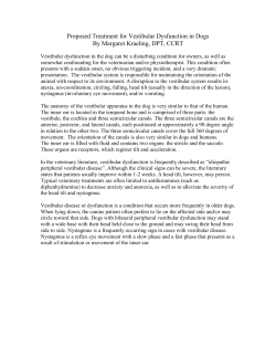 Proposed Treatment for Vestibular Dysfunction in Dogs