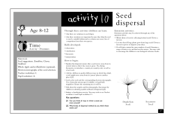 Seed and plant growth activity pack - Seed dispersal