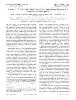 Structure of Psb27 in Solution: Implications for Transient Binding to