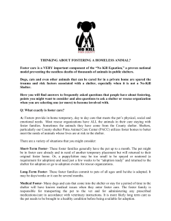 Foster - No Kill Pima County