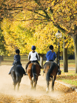 The Facts About Concussion - US Equestrian