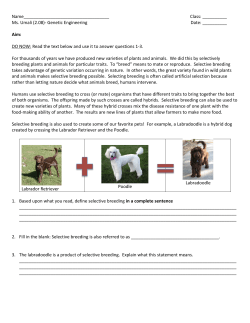 (2.08)-‐ Genetic Engineering