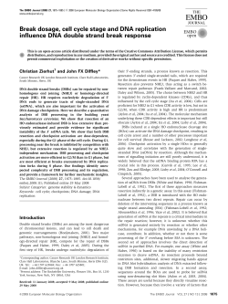 Break dosage, cell cycle stage and DNA replication influence DNA