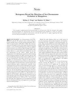 Retrogenes Reveal the Direction of Sex