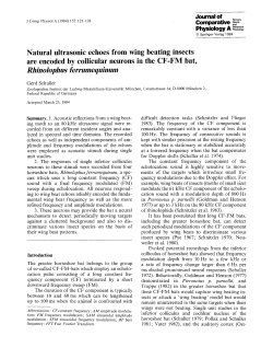 Natural ultrasonic echoes from wing beating insects are encoded by