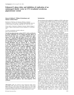 Enhanced S phase delay and inhibition of