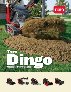 Compact Utility Loaders