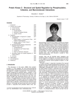 Protein Kinase C: Structural and Spatial Regulation by