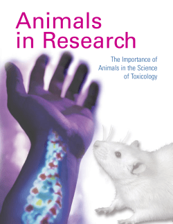 The Importance of Animals in the Science of Toxicology
