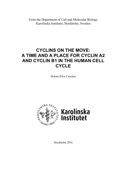 CYCLINS ON THE MOVE: A TIME AND A PLACE FOR CYCLIN A2