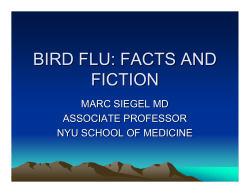 bird flu: facts and fiction