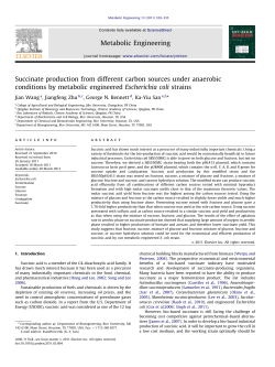 Succinate production from different carbon sources - QIBEBT-IR