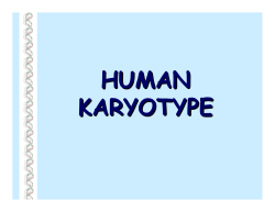 HUMAN KARYOTYPE