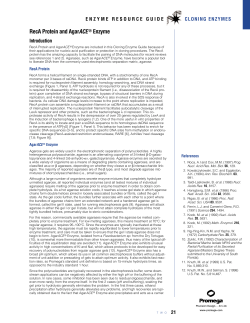 RecA Protein and AgarACE® Enzyme