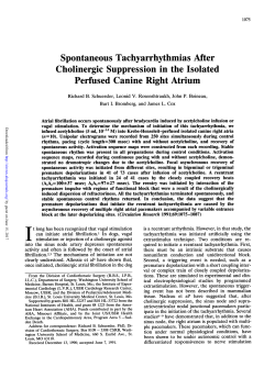Spontaneous Tachyarrhythmias After Cholinergic Suppression in