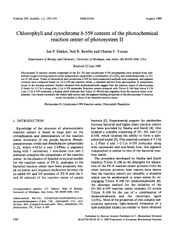 Chlorophyll and cytochrome b559 content of the photochemical
