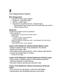 The Integumentary System