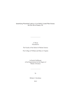 Quantifying Watershed Loads to a Low Relief Coastal Plain Estuary