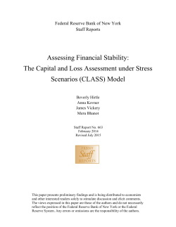 Assessing Financial Stability: The Capital and Loss Assessment